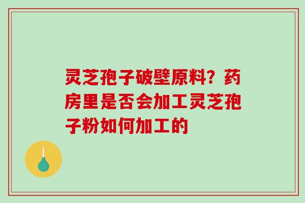 灵芝孢子破壁原料？药房里是否会加工灵芝孢子粉如何加工的