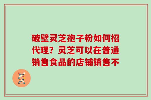 破壁灵芝孢子粉如何招代理？灵芝可以在普通销售食品的店铺销售不