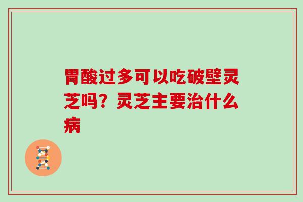 胃酸过多可以吃破壁灵芝吗？灵芝主要什么