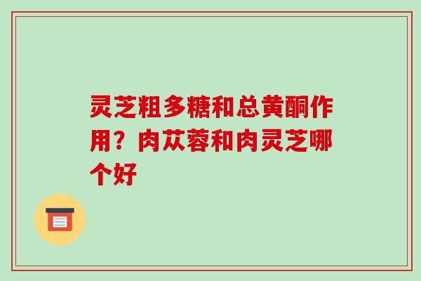 灵芝粗多糖和总黄酮作用？肉苁蓉和肉灵芝哪个好