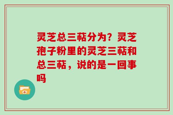 灵芝总三萜分为？灵芝孢子粉里的灵芝三萜和总三萜，说的是一回事吗