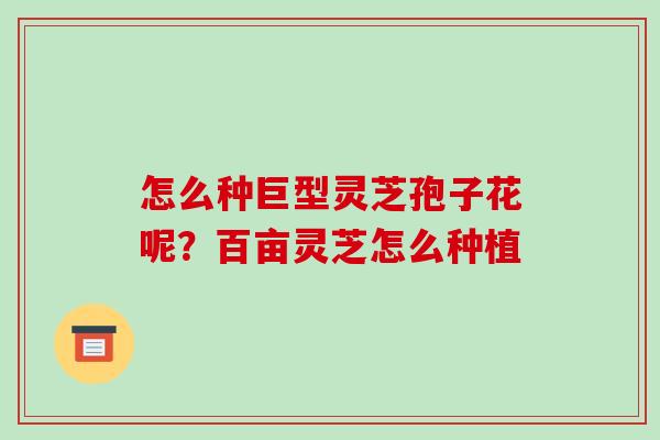 怎么种巨型灵芝孢子花呢？百亩灵芝怎么种植