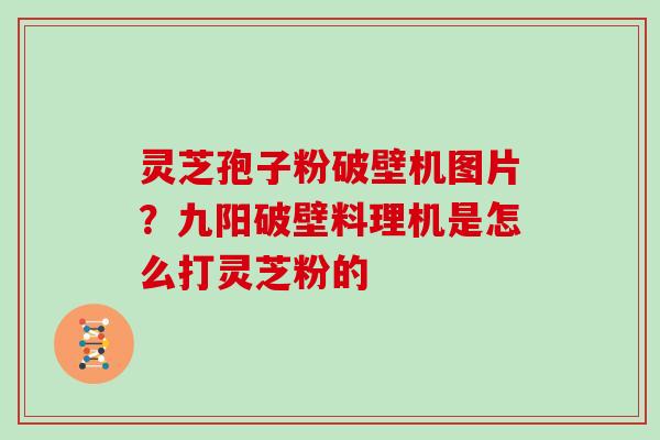 灵芝孢子粉破壁机图片？九阳破壁料理机是怎么打灵芝粉的