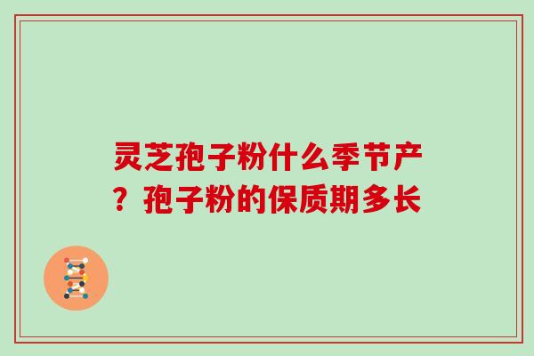 灵芝孢子粉什么季节产？孢子粉的保质期多长