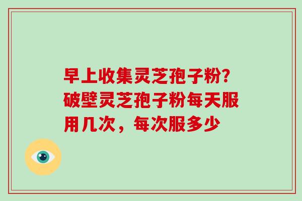 早上收集灵芝孢子粉？破壁灵芝孢子粉每天服用几次，每次服多少