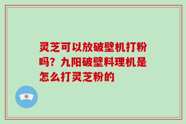 灵芝可以放破壁机打粉吗？九阳破壁料理机是怎么打灵芝粉的