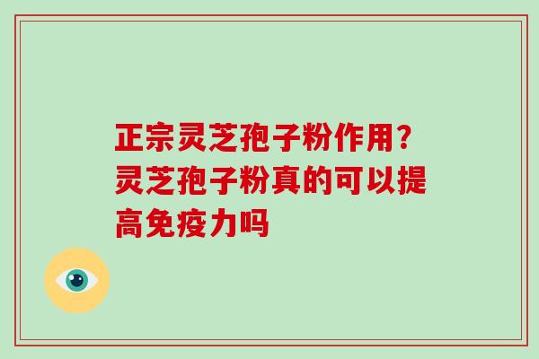 正宗灵芝孢子粉作用？灵芝孢子粉真的可以提高免疫力吗