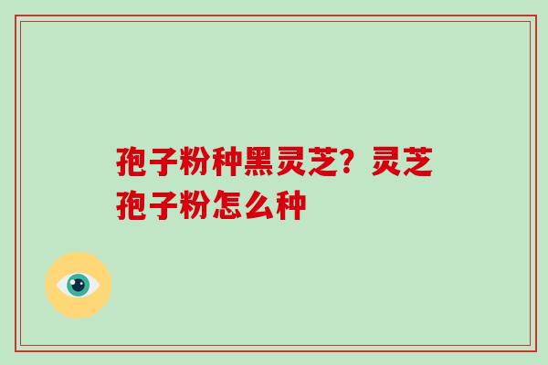 孢子粉种黑灵芝？灵芝孢子粉怎么种