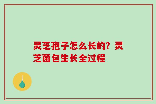 灵芝孢子怎么长的？灵芝菌包生长全过程