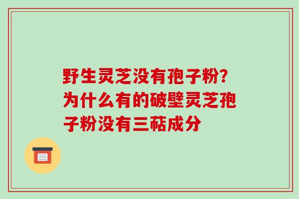 野生灵芝没有孢子粉？为什么有的破壁灵芝孢子粉没有三萜成分