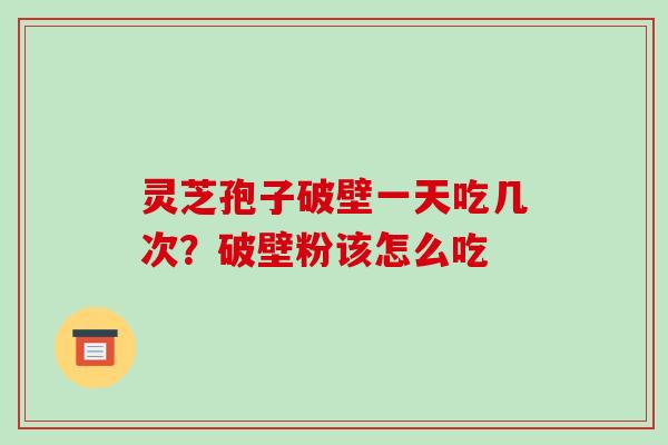 灵芝孢子破壁一天吃几次？破壁粉该怎么吃