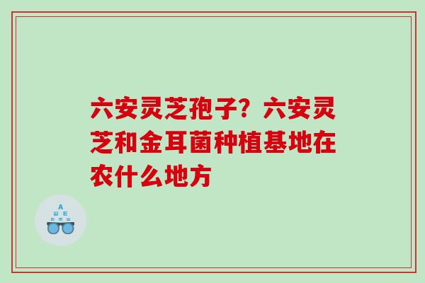 六安灵芝孢子？六安灵芝和金耳菌种植基地在农什么地方