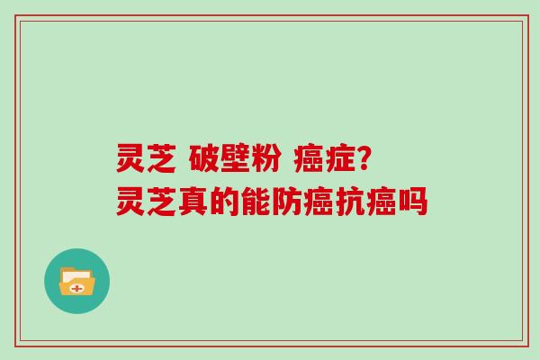 灵芝 破壁粉 症?灵芝真的能防抗吗 灵芝 破壁粉 症?灵芝真的能防抗吗