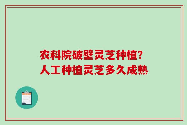 农科院破壁灵芝种植？人工种植灵芝多久成熟