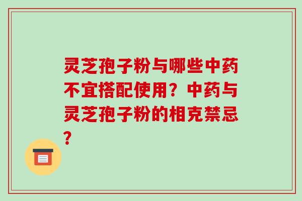 灵芝孢子粉与哪些不宜搭配使用？与灵芝孢子粉的相克禁忌？