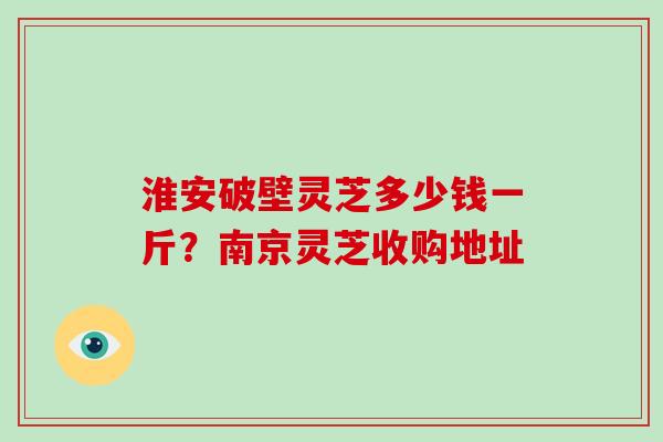 淮安破壁灵芝多少钱一斤？南京灵芝收购地址
