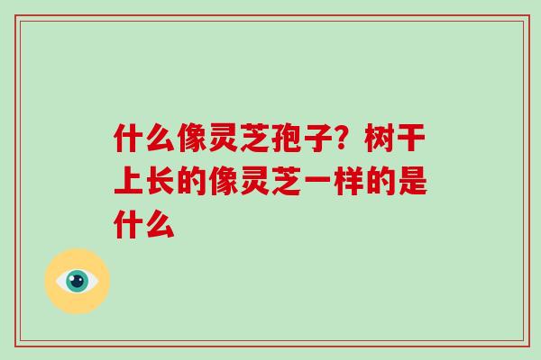什么像灵芝孢子？树干上长的像灵芝一样的是什么