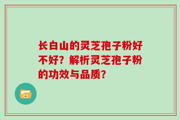 长白山的灵芝孢子粉好不好？解析灵芝孢子粉的功效与品质？