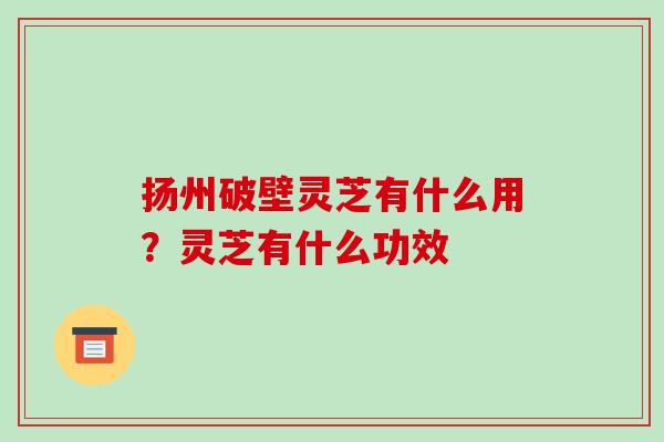扬州破壁灵芝有什么用？灵芝有什么功效