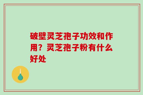破壁灵芝孢子功效和作用？灵芝孢子粉有什么好处