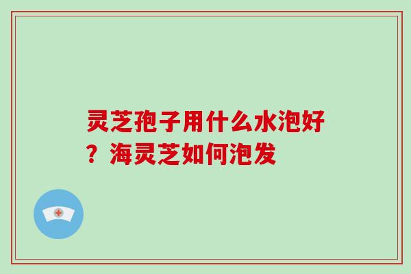 灵芝孢子用什么水泡好？海灵芝如何泡发