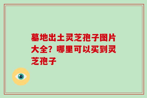 墓地出土灵芝孢子图片大全？哪里可以买到灵芝孢子