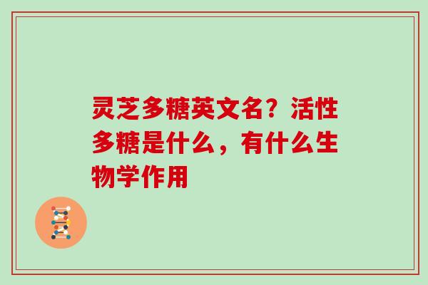 灵芝多糖英文名?活性多糖是什么,有什么生物学作用 灵芝多糖英文名?活性多糖是什么,有什么生物学作用