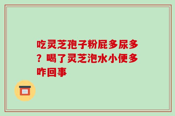 吃灵芝孢子粉屁多尿多？喝了灵芝泡水小便多咋回事
