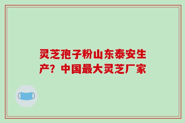 灵芝孢子粉山东泰安生产？中国大灵芝厂家