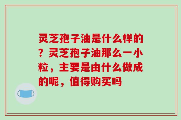 灵芝孢子油是什么样的？灵芝孢子油那么一小粒，主要是由什么做成的呢，值得购买吗