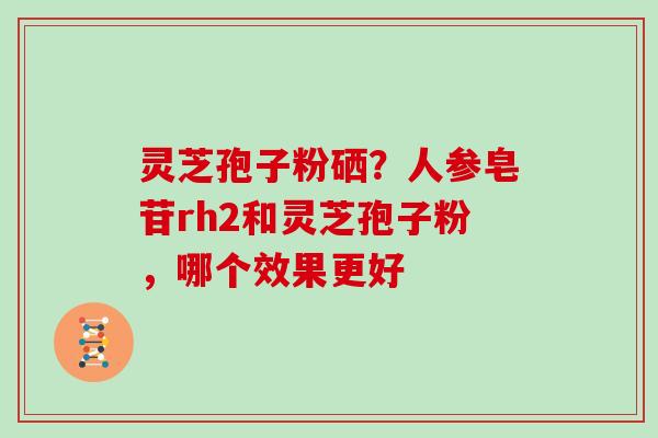 灵芝孢子粉硒?人参皂苷rh2和灵芝孢子粉,哪个效果更好 灵芝孢子粉硒?人参皂苷rh2和灵芝孢子粉,哪个效果更好