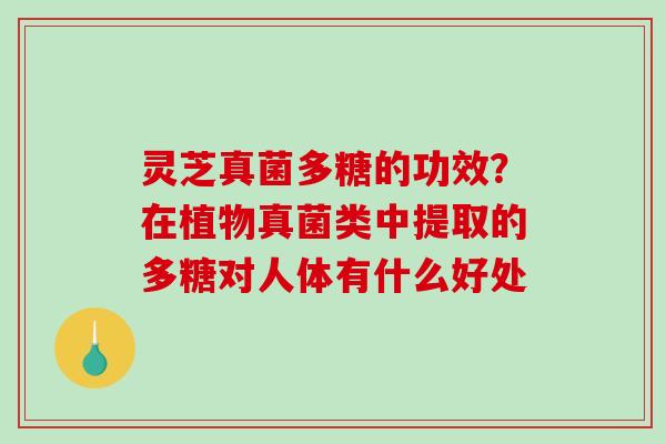 灵芝真菌多糖的功效？在植物真菌类中提取的多糖对人体有什么好处