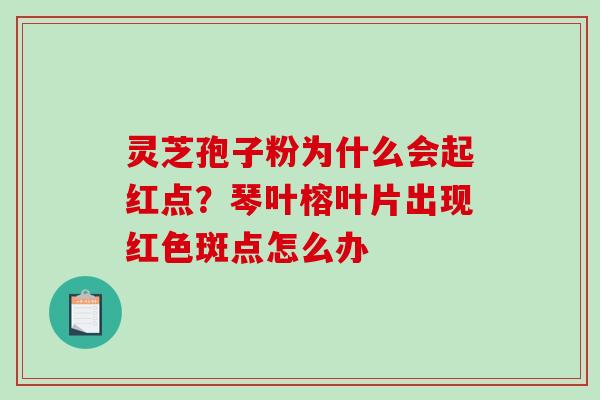 灵芝孢子粉为什么会起红点？琴叶榕叶片出现红色斑点怎么办