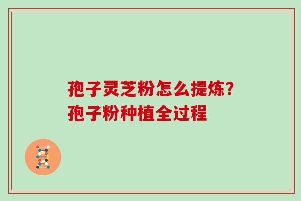 孢子灵芝粉怎么提炼？孢子粉种植全过程