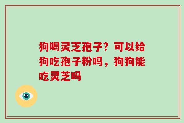 狗喝灵芝孢子？可以给狗吃孢子粉吗，狗狗能吃灵芝吗