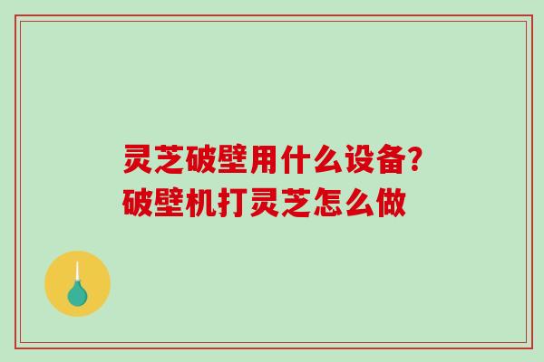 灵芝破壁用什么设备？破壁机打灵芝怎么做