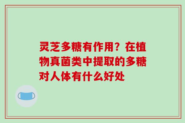 灵芝多糖有作用?在植物真菌类中提取的多糖对人体有什么好处 灵芝多糖有作用?在植物真菌类中提取的多糖对人体有什么好处