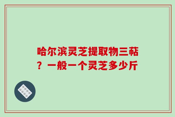 哈尔滨灵芝提取物三萜？一般一个灵芝多少斤
