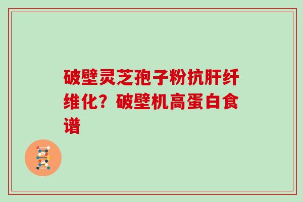 破壁灵芝孢子粉抗肝纤维化？破壁机高蛋白食谱