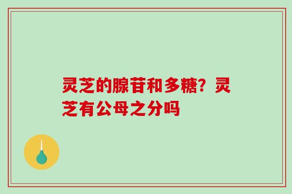 灵芝的腺苷和多糖?灵芝有公母之分吗 灵芝的腺苷和多糖?灵芝有公母之分吗