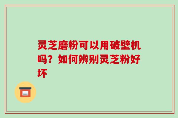 灵芝磨粉可以用破壁机吗？如何辨别灵芝粉好坏