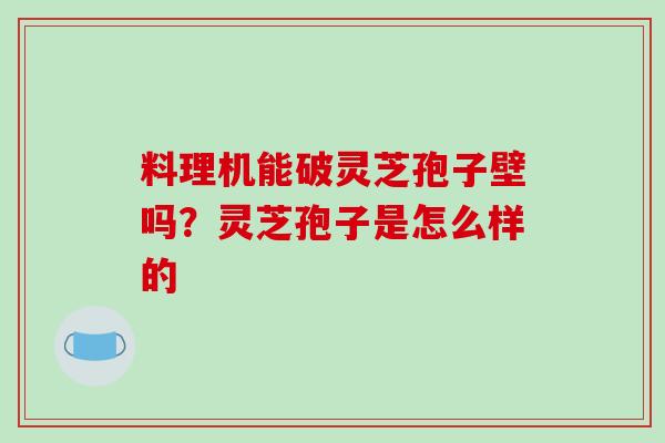 料理机能破灵芝孢子壁吗？灵芝孢子是怎么样的