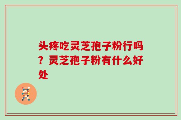 头疼吃灵芝孢子粉行吗？灵芝孢子粉有什么好处