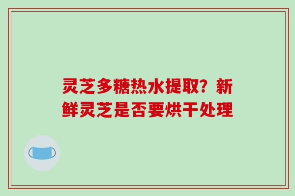 灵芝多糖热水提取？新鲜灵芝是否要烘干处理