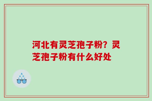 河北有灵芝孢子粉？灵芝孢子粉有什么好处