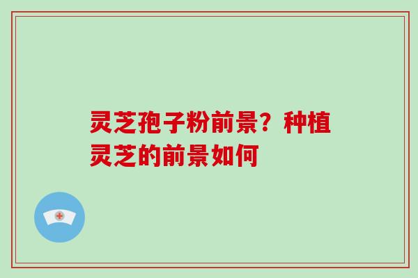 灵芝孢子粉前景？种植灵芝的前景如何