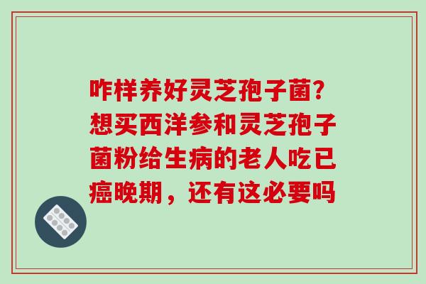 咋样养好灵芝孢子菌？想买西洋参和灵芝孢子菌粉给生病的老人吃已癌晚期，还有这必要吗