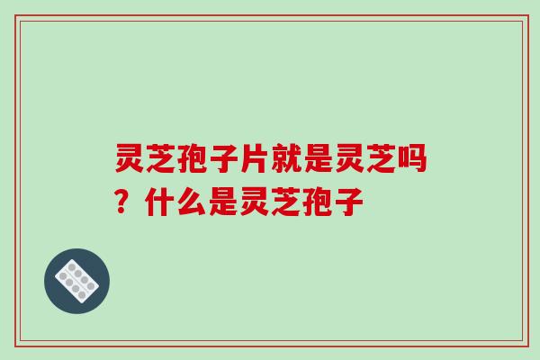 灵芝孢子片就是灵芝吗？什么是灵芝孢子