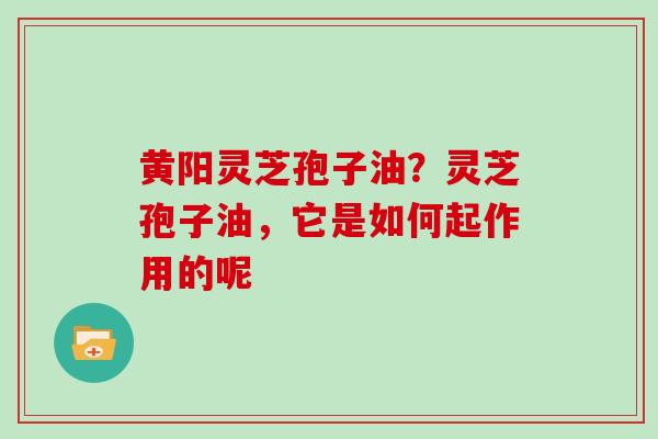 黄阳灵芝孢子油？灵芝孢子油，它是如何起作用的呢