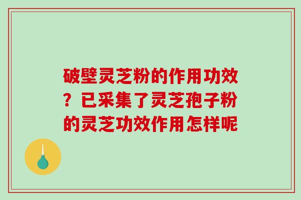 破壁灵芝粉的作用功效？已采集了灵芝孢子粉的灵芝功效作用怎样呢